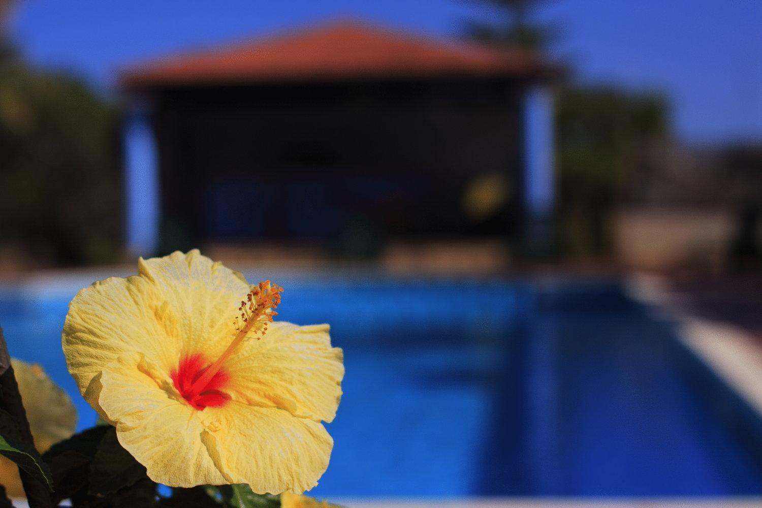 Hotel L'Ulivo Girasole Ngoại thất bức ảnh